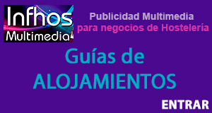 Infosur Publigestión